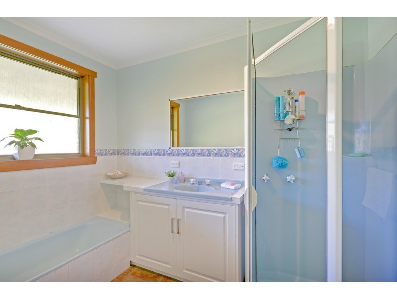 719 Circular Road, East Ridgley TAS 7321