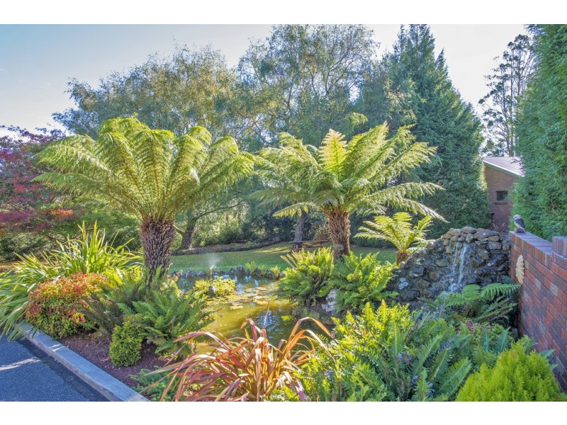 719 Circular Road, East Ridgley TAS 7321