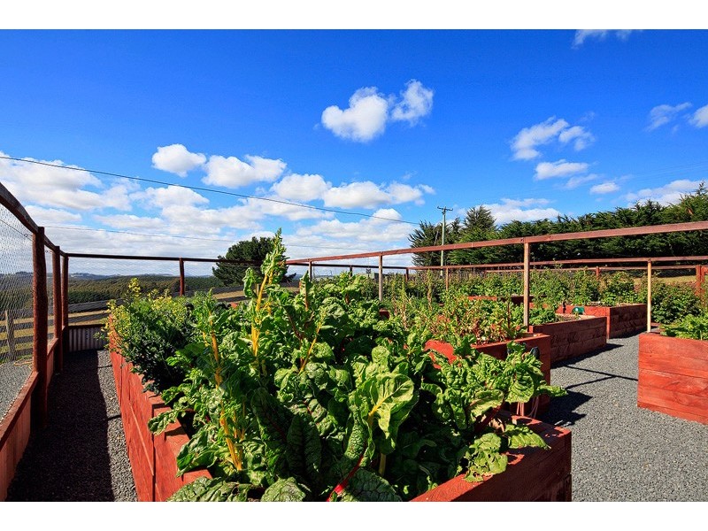 617 Deep Creek Road, Wynyard TAS 7325