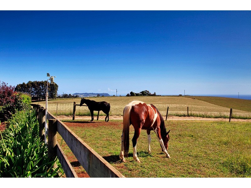 617 Deep Creek Road, Wynyard TAS 7325