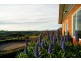 617 Deep Creek Road, Wynyard TAS 7325