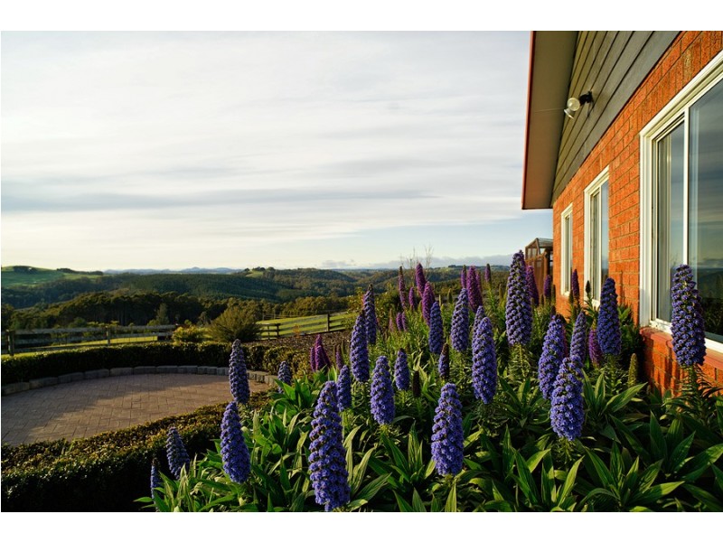 617 Deep Creek Road, Wynyard TAS 7325