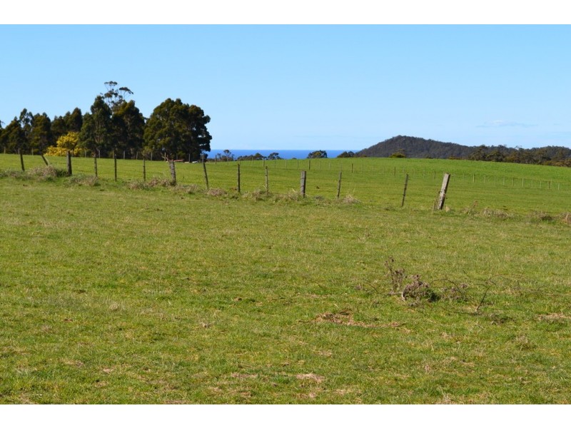 0 Minna Road, Stowport TAS 7321