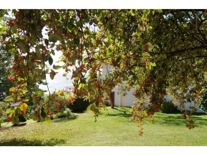 83 Button Avenue, Parklands TAS 7320