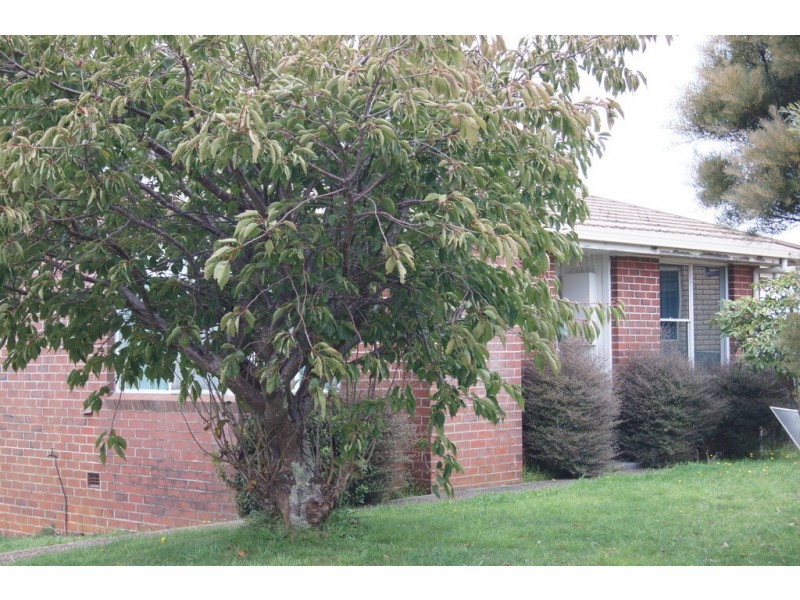 9 Gracie Crescent, Acton TAS 7320