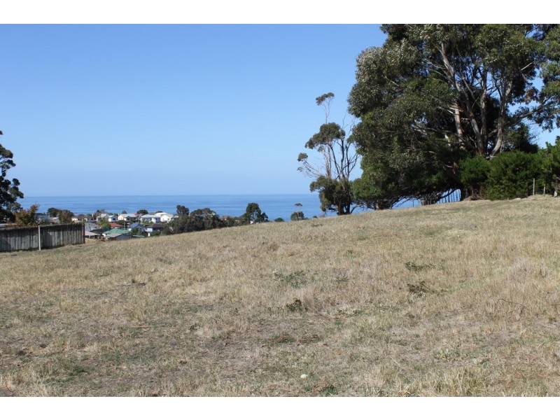 27 Pineleigh Street, Penguin TAS 7316