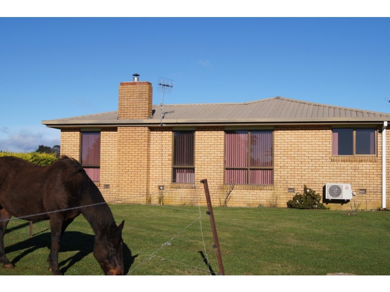 772 Ridgley Highway, Ridgley TAS 7321