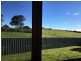 772 Ridgley Highway, Ridgley TAS 7321