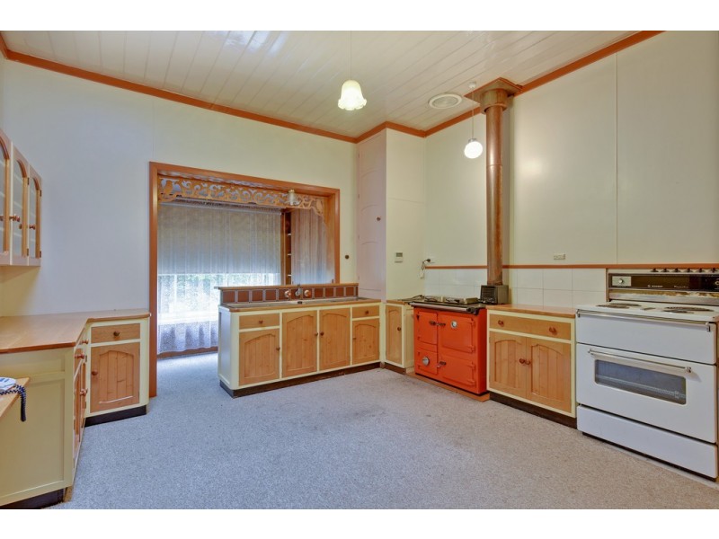 911 Ridgley Highway, Ridgley TAS 7321