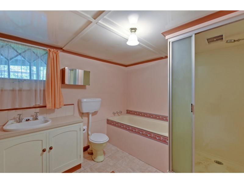 911 Ridgley Highway, Ridgley TAS 7321