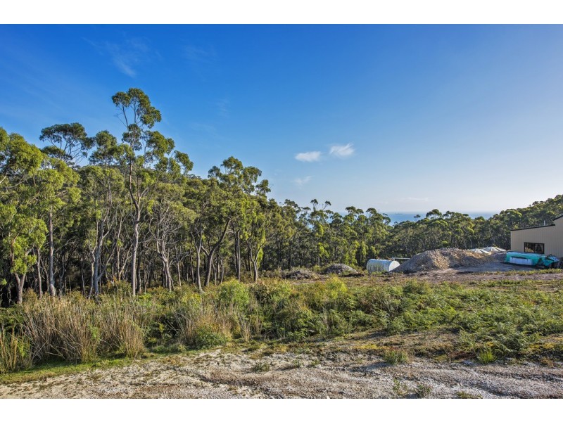 49 Allegra Drive, Heybridge TAS 7316