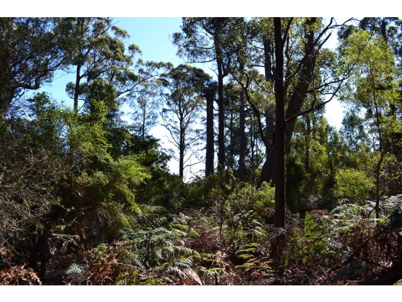 0 Minna Road, Stowport TAS 7321