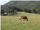 1087 Pine Road, Riana TAS 7316