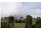 31 Curraghmore Avenue, Park Grove TAS 7320