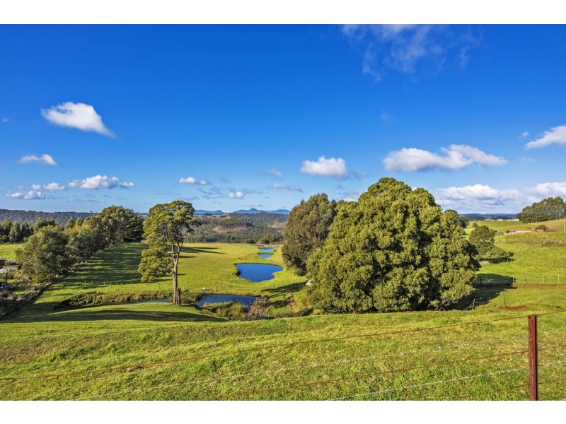 691 Ridgley Highway, Ridgley TAS 7321
