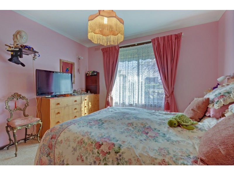 691 Ridgley Highway, Ridgley TAS 7321