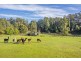 422 Back Cam Road, Somerset TAS 7322