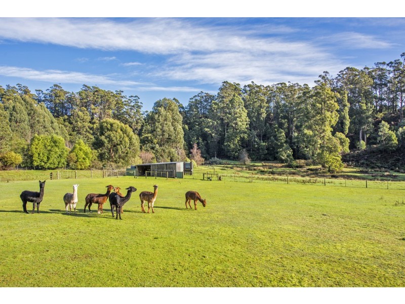 422 Back Cam Road, Somerset TAS 7322