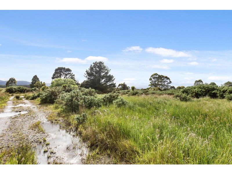 12 Mulcahy Street, Zeehan TAS 7469