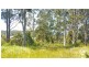 Lot 12 Counsel Street, Zeehan TAS 7469