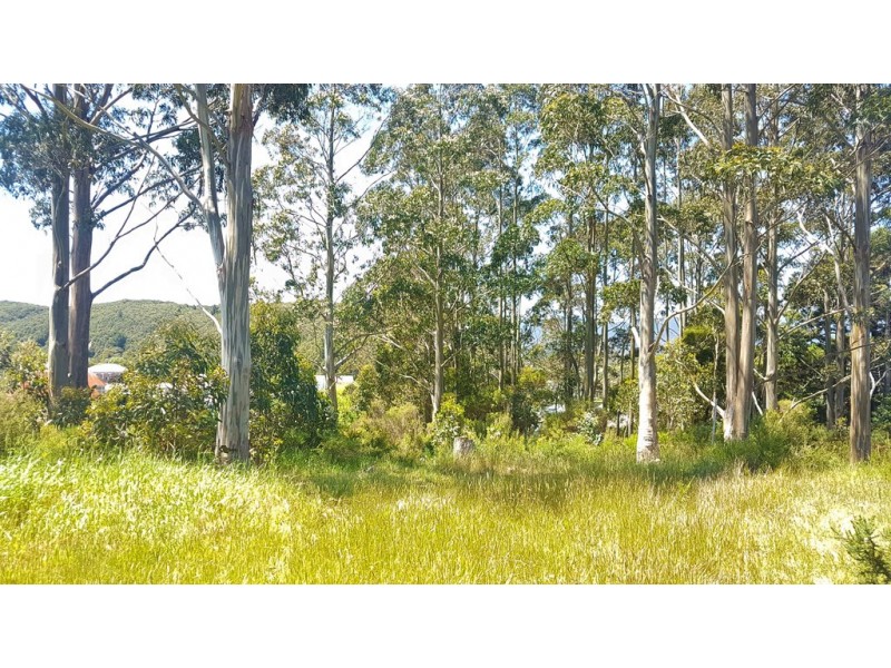 Lot 12 Counsel Street, Zeehan TAS 7469