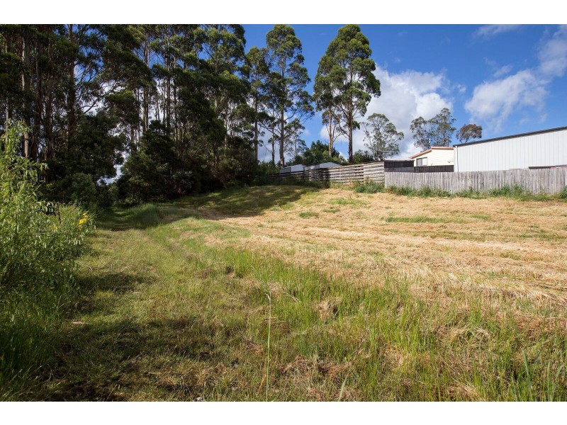Lot 12 Counsel Street, Zeehan TAS 7469