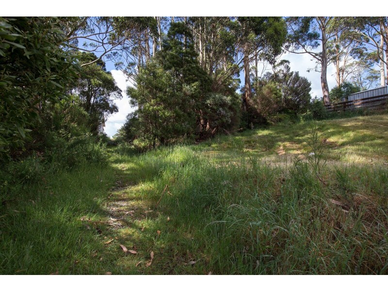 Lot 12 Counsel Street, Zeehan TAS 7469