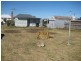 31 Patrick Street, Bothwell TAS 7030