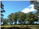 250 HILLCREST, Pawleena TAS 7172