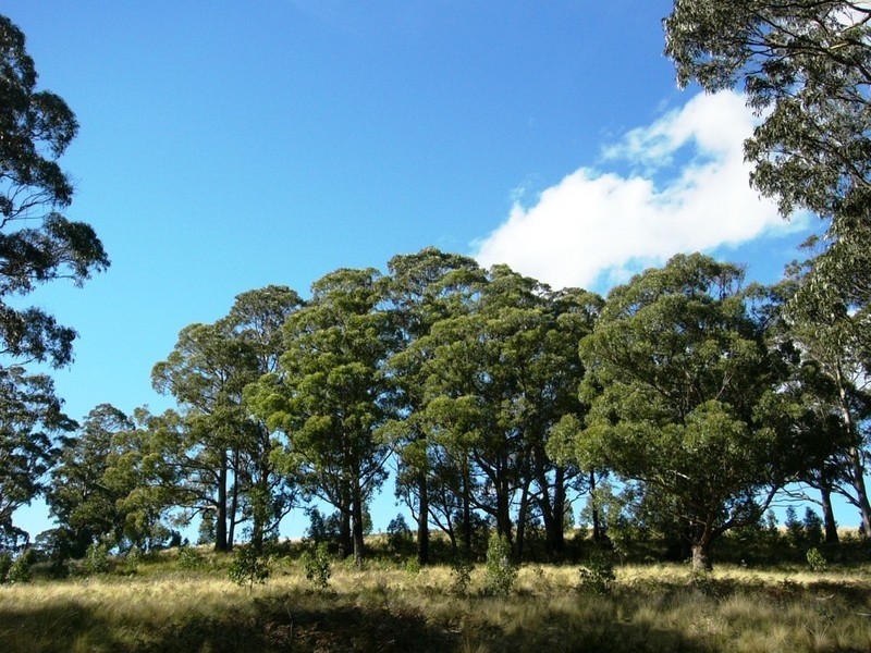 250 HILLCREST, Pawleena TAS 7172