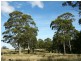 250 HILLCREST, Pawleena TAS 7172