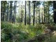 250 HILLCREST, Pawleena TAS 7172