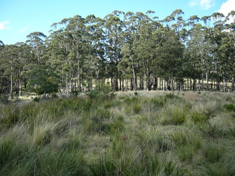 250 HILLCREST, Pawleena TAS 7172