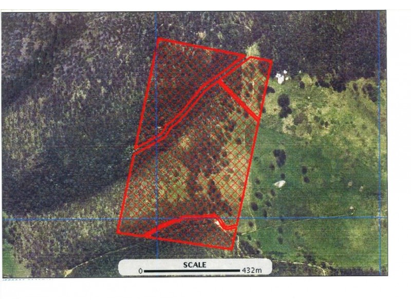 250 HILLCREST, Pawleena TAS 7172