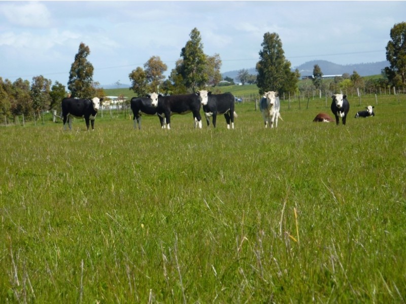 73 East Orielton Road, Orielton TAS 7172