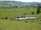 73 East Orielton Road, Orielton TAS 7172