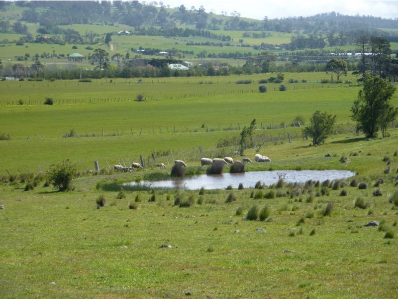 73 East Orielton Road, Orielton TAS 7172