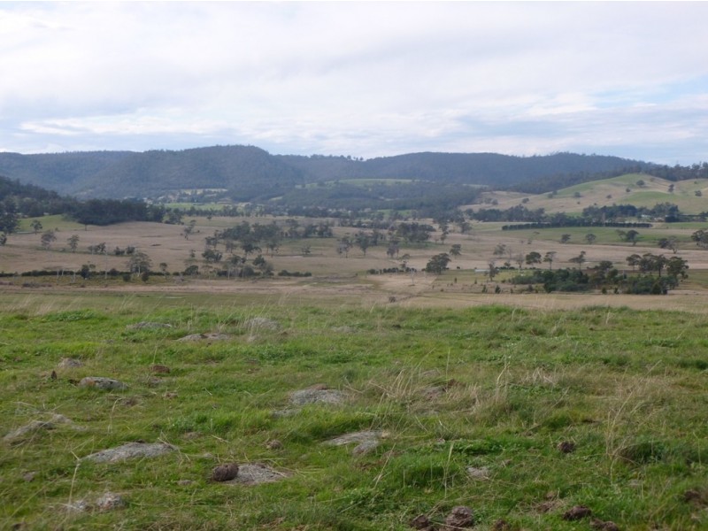 73 East Orielton Road, Orielton TAS 7172