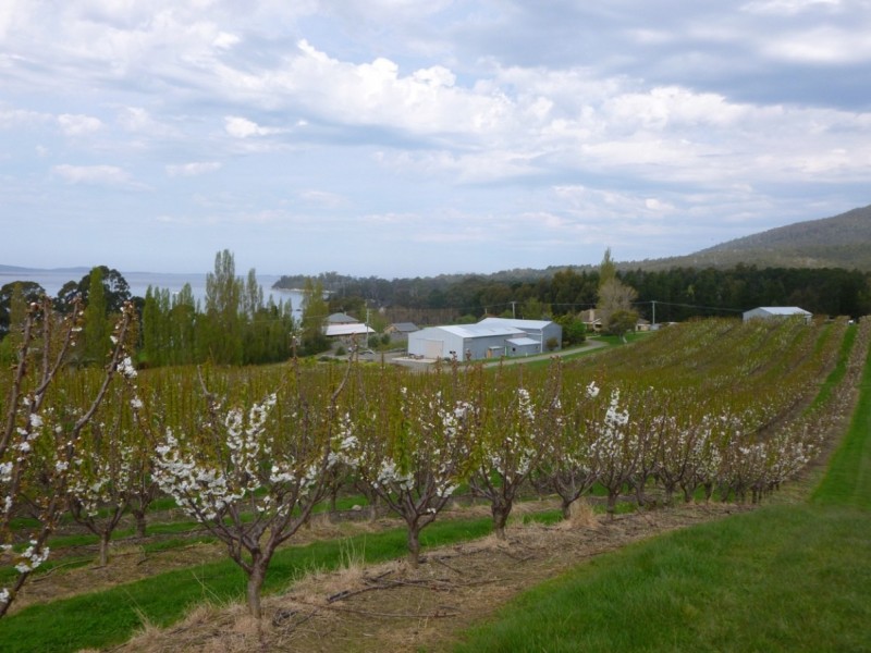 3644 Channel Highway, Birchs Bay TAS 7162