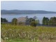 3644 Channel Highway, Birchs Bay TAS 7162