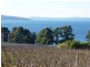 3644 Channel Highway, Birchs Bay TAS 7162