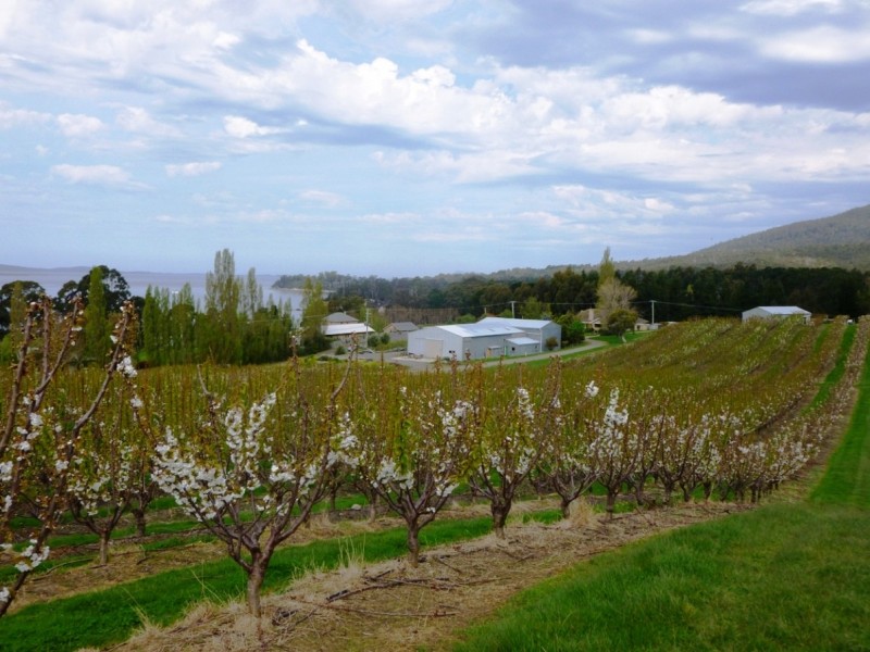 3644 Channel Highway, Birchs Bay TAS 7162