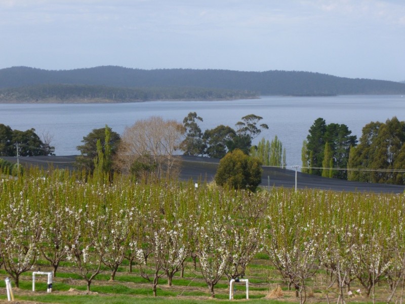 3644 Channel Highway, Birchs Bay TAS 7162