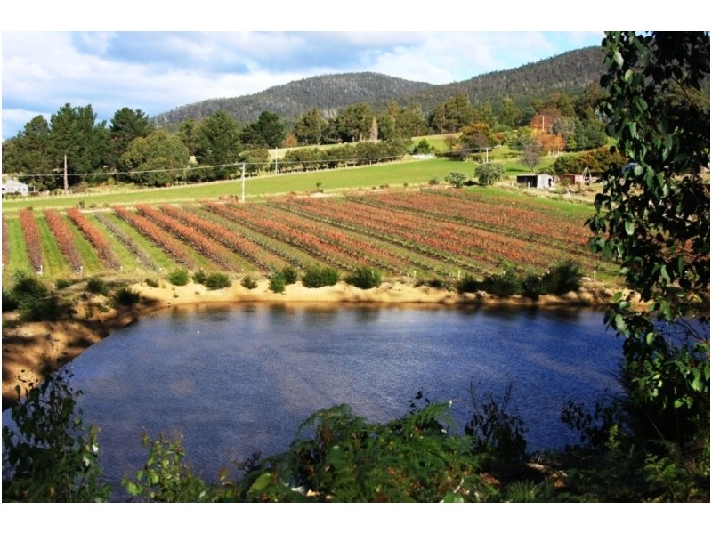 3644 Channel Highway, Birchs Bay TAS 7162