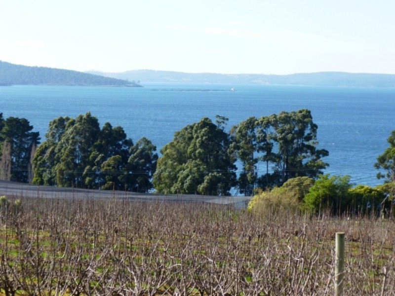 3644 Channel Highway, Birchs Bay TAS 7162