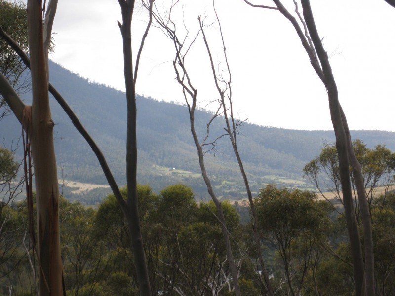 21 Tanglewood Rd, Molesworth TAS 7140