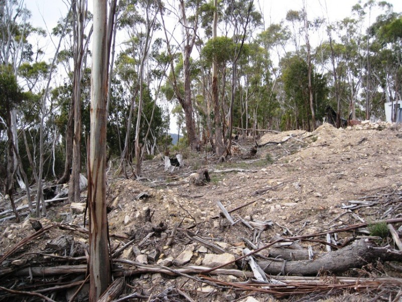 21 Tanglewood Rd, Molesworth TAS 7140