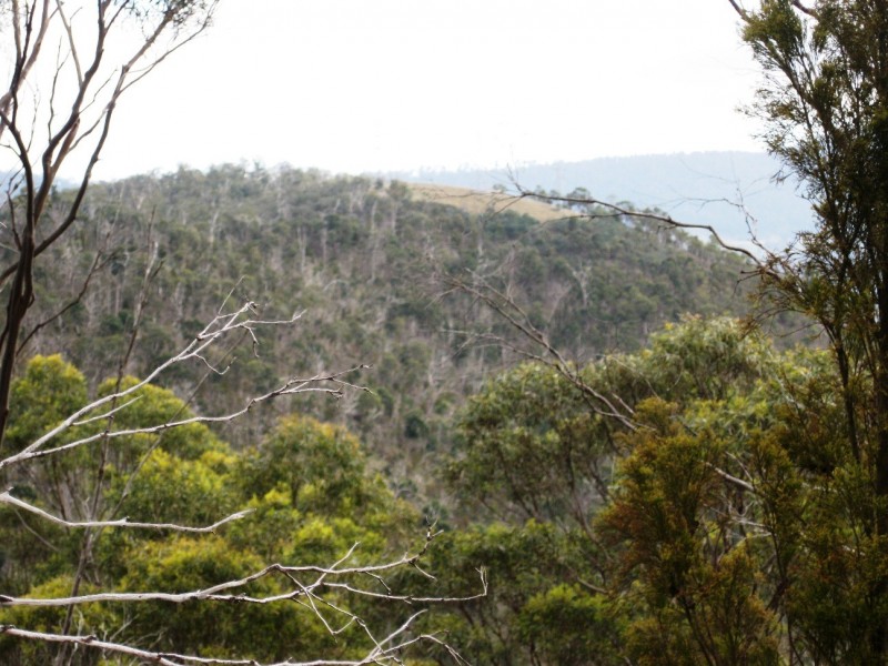 21 Tanglewood Rd, Molesworth TAS 7140