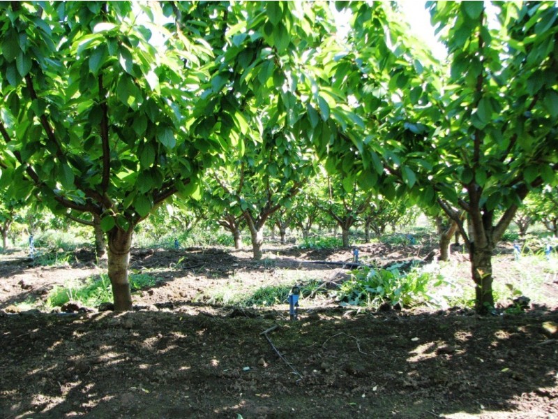 Sorell Creek TAS 7140