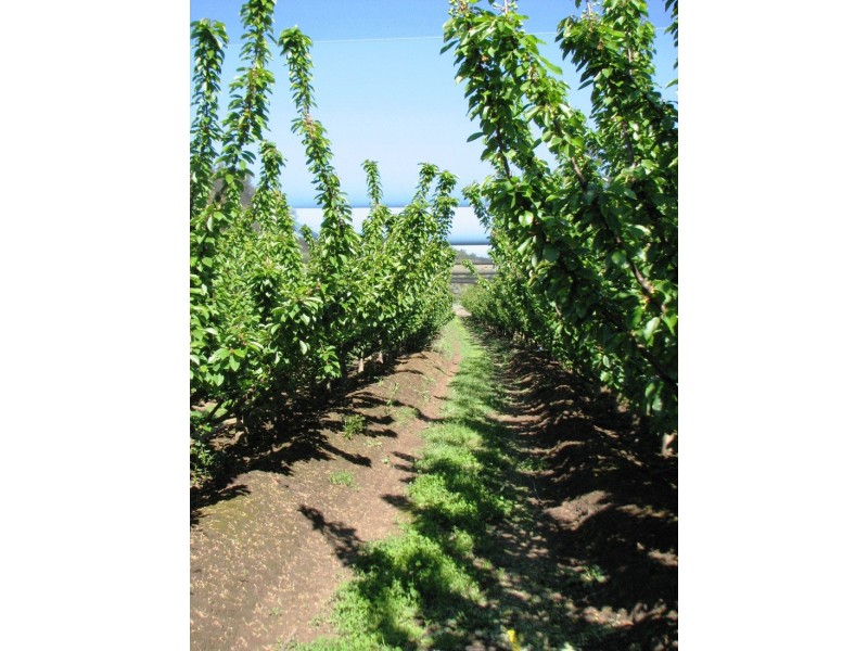 Sorell Creek TAS 7140